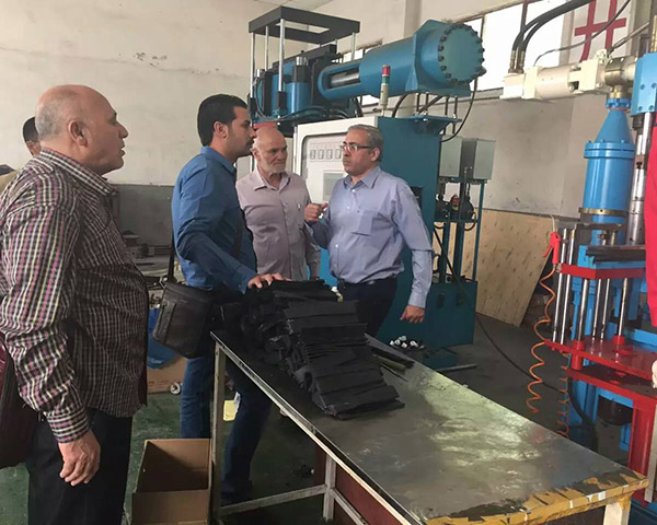 International Customers Gather to Explore Advanced Rubber Injection Molding Machine Technology in Depth